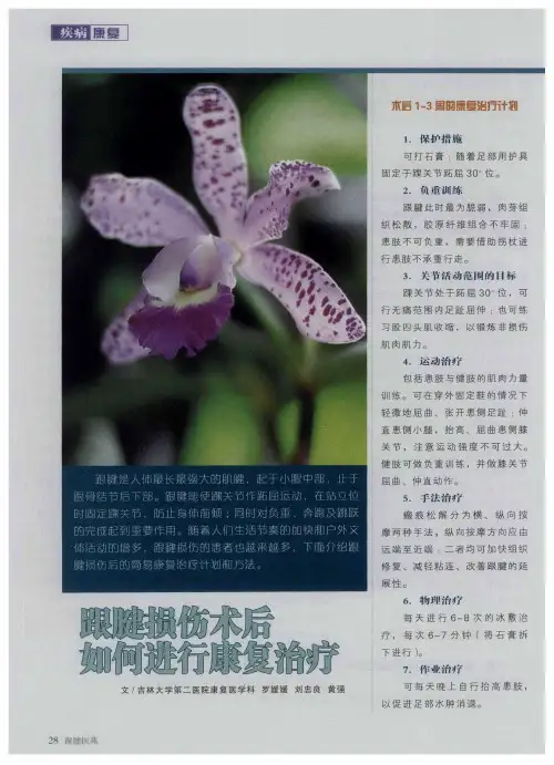 跟腱损伤术后如何进行康复治疗