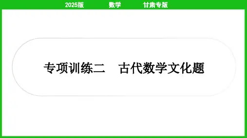 2025年中考数学总复习第二轮中档题突破专项训练二古代数学文化题