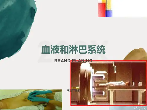 血液与淋巴系统