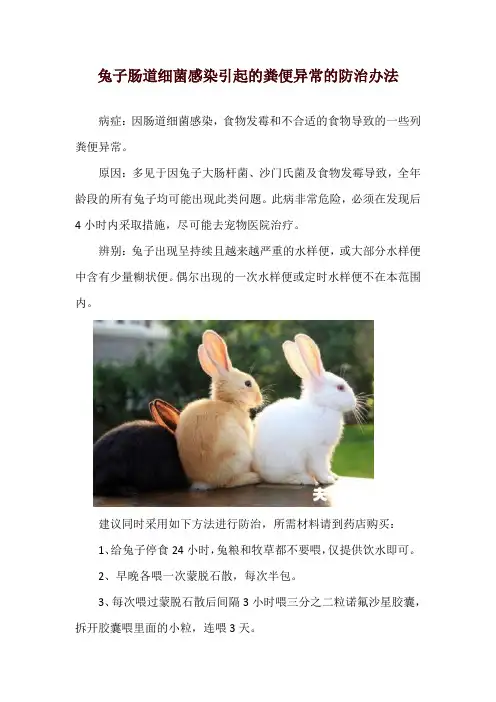 兔子肠道细菌感染引起的粪便异常的防治办法