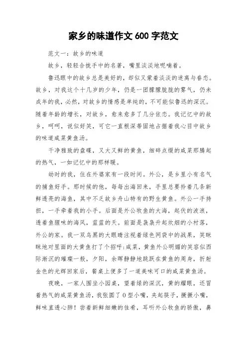 家乡的味道作文600字范文_作文