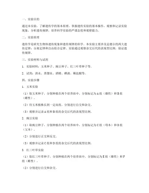 遗传学探究实验报告