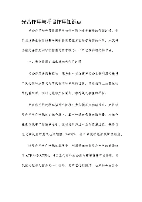 光合作用与呼吸作用知识点