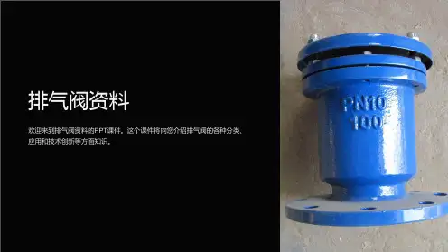 《排气阀资料》课件