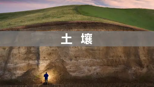 课件_人教版高一必修一土壤PPT课件_优秀版