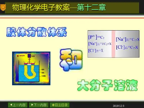 12章胶体与大分子溶液