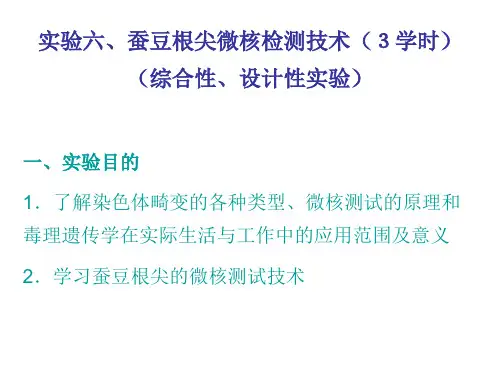 实验六蚕豆根尖微核检测技术学时综合性设计性