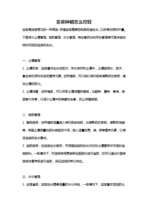 韭菜种植怎么控旺