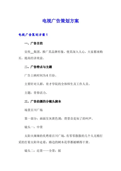 电视广告策划方案