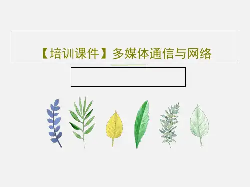 【培训课件】多媒体通信与网络PPT64页