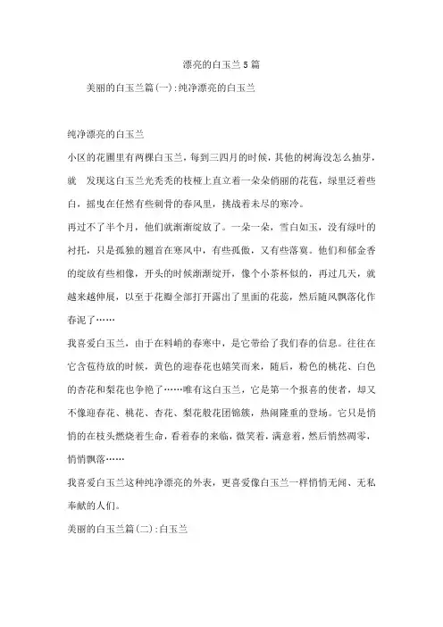 漂亮的白玉兰5篇
