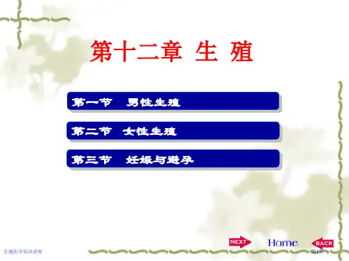 生殖医学知识讲座专家讲座