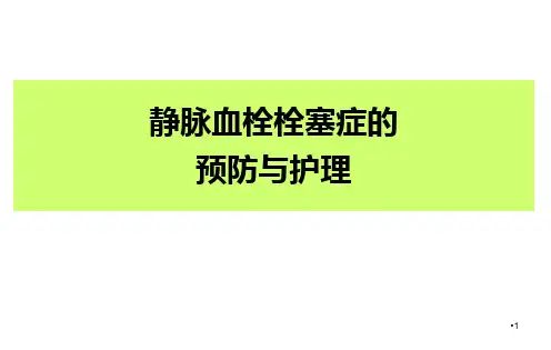 静脉血栓栓塞症的预防与护理PPT课件