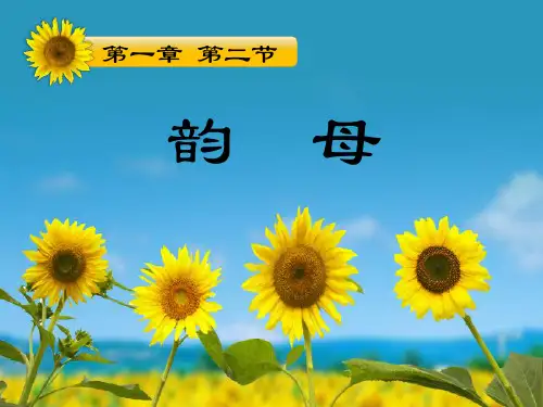 《普通话》课件——韵母