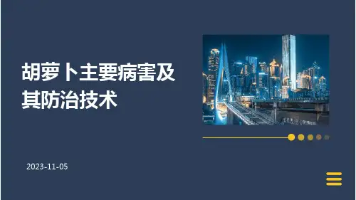 胡萝卜主要病害及其防治技术