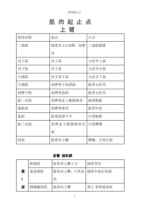 肌肉起止点