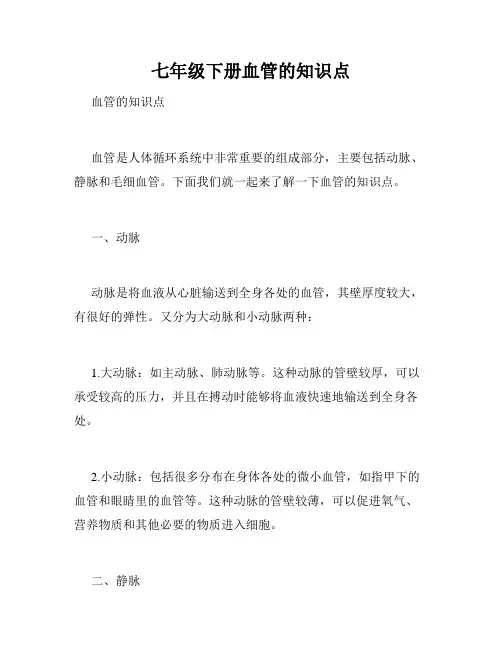 七年级下册血管的知识点