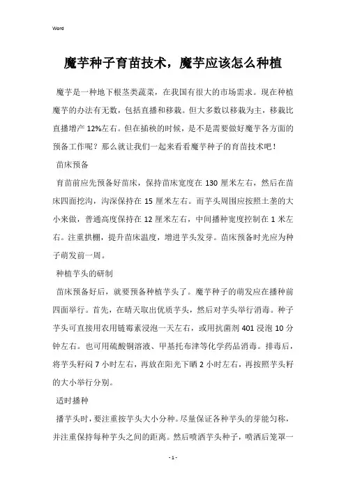 魔芋种子育苗技术,魔芋应该怎么种植