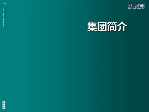 顺驰集团