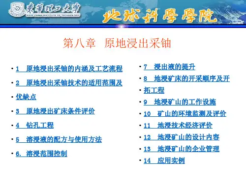 第八章原地浸出采铀