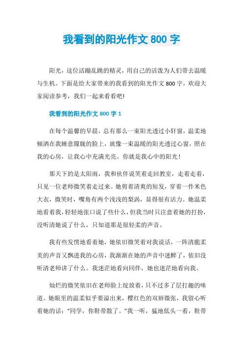 我看到的阳光作文800字