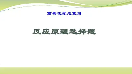 高考化学总复习之反应原理选择题突破 课件(共36张PPT)