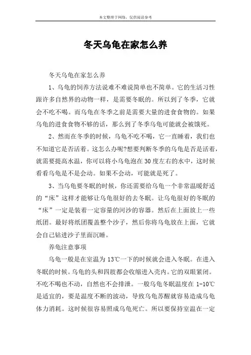 冬天乌龟在家怎么养