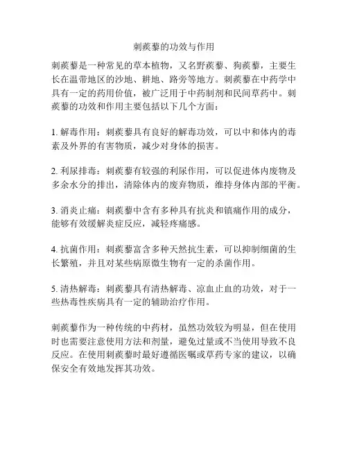 刺蒺藜的功效与作用