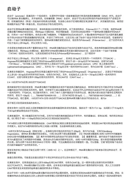 启动子——精选推荐
