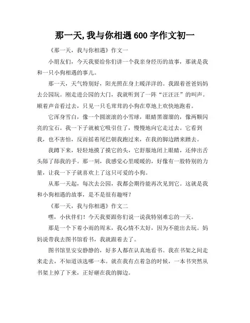 那一天,我与你相遇600字作文初一
