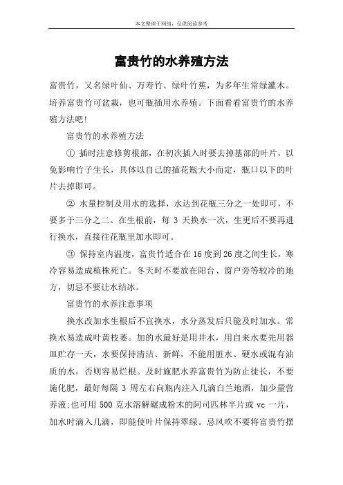 富贵竹的水养殖方法