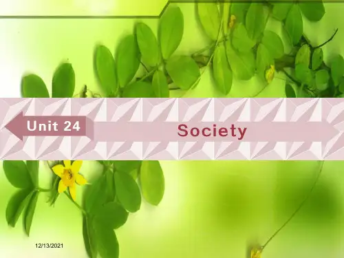 高考英语一轮复习 基础考点聚焦 unit 24 society课件 