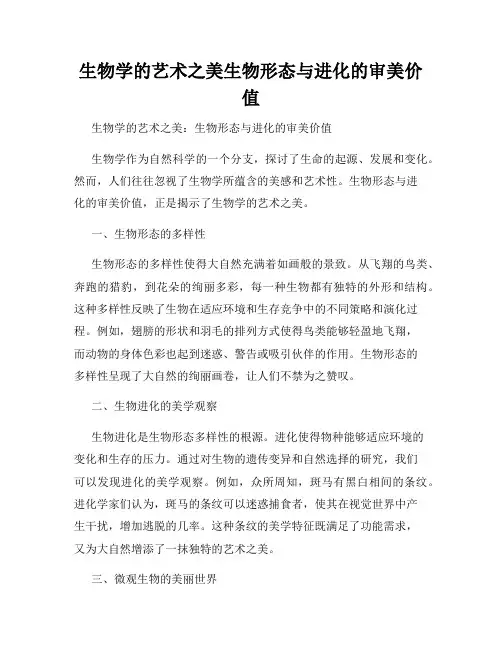 生物学的艺术之美生物形态与进化的审美价值