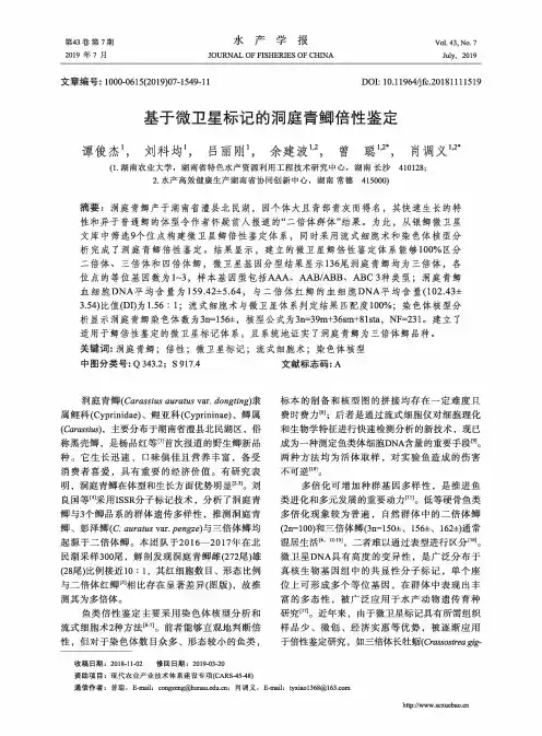 基于微卫星标记的洞庭青鲫倍性鉴定