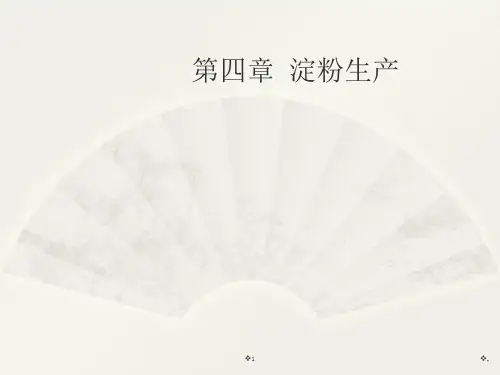 淀粉生产ppt课件