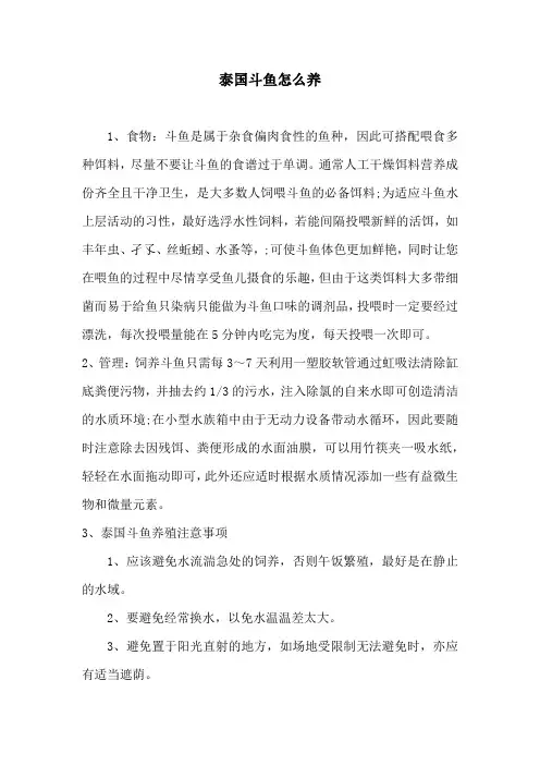 泰国斗鱼怎么养