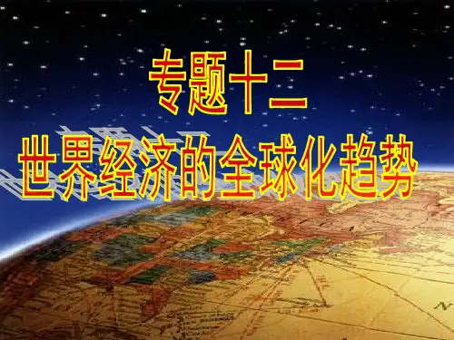 世界经济的全球化趋势 一轮复习