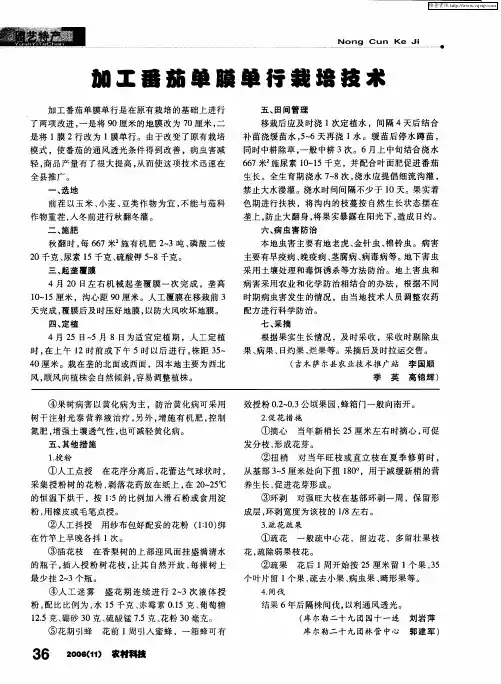 加工番茄单膜单行栽培技术