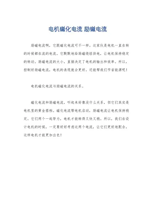 电机磁化电流 励磁电流