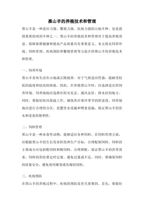 黑山羊的养殖技术和管理