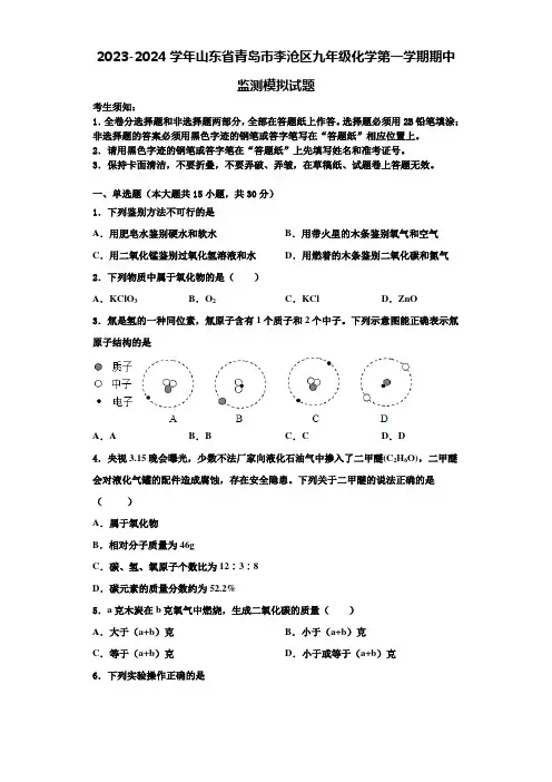 2023-2024学年山东省青岛市李沧区九年级化学第一学期期中监测模拟试题含解析