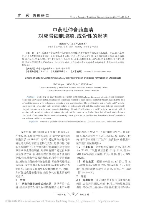_中药杜仲含药血清对成骨细胞增殖_成骨性的影响