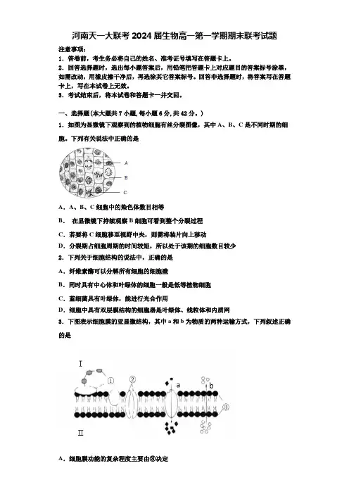 河南天一大联考2024届生物高一第一学期期末联考试题含解析