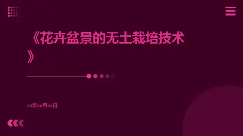 花卉盆景的无土栽培技术