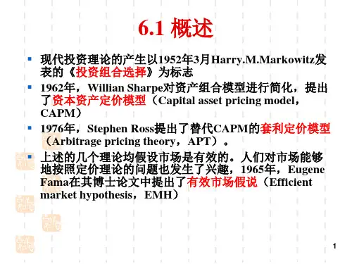 第6章投资理论2资产组合理论cpvx