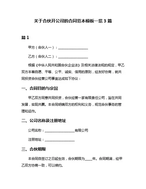 关于合伙开公司的合同范本模板一览3篇