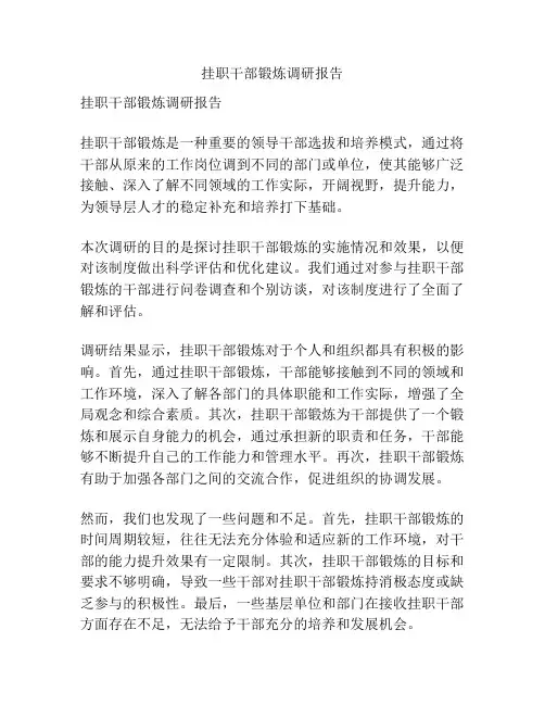 挂职干部锻炼调研报告