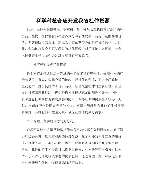 科学种植合理开发我省杜仲资源
