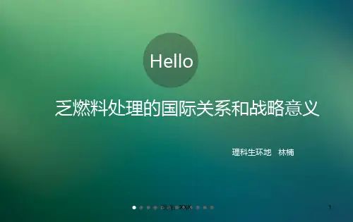乏燃料处理国际概览及战略意义PPT参考课件