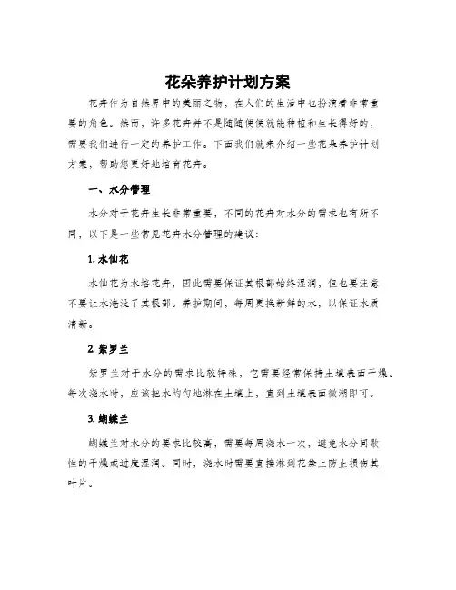花朵养护计划方案